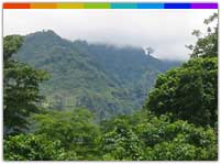 Roing, Arunachal Pradesh