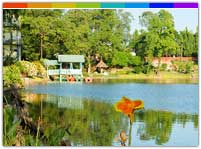 Cole Park, Tezpur Assam