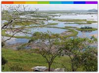 Loktak Lake Moirang Manipur