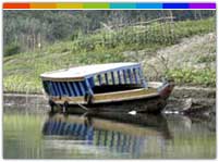 Bung and Paikhai Mizoram